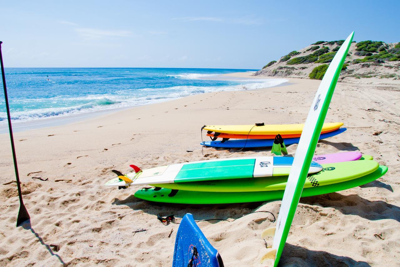 Surf Hostel Cabo "The Riptide" San José del Cabo Zewnętrze zdjęcie